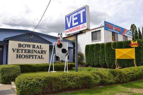 Photo: Bowral Veterinary Hospital